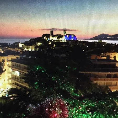 Vue Mer Jardin Chateau Plages Palais Des Festivals Lumineux Et Spacieux Au Calme 公寓