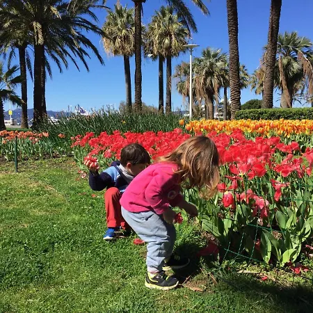 Vue Mer Jardin Chateau Plages Palais Des Festivals Lumineux Et Spacieux Au Calme 戛纳